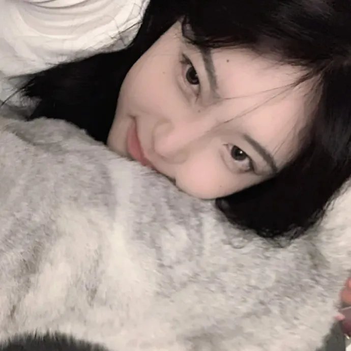 纳粹狼的闪电战